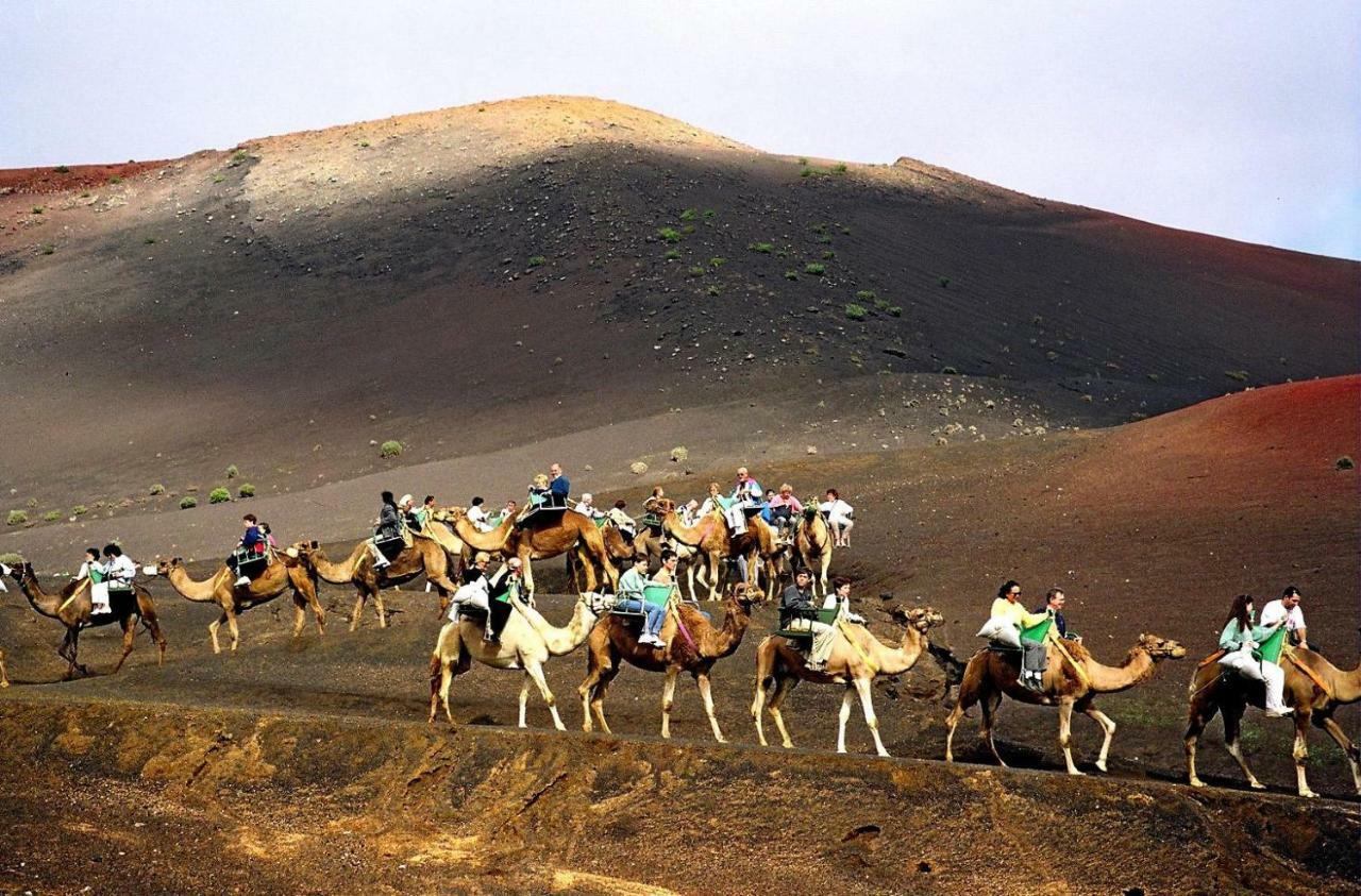 特吉塞 Casa El Gallo旅馆 外观 照片